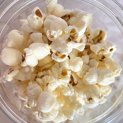 WORMTAIL Popcorn Snack Small Animal 25g Small Animal Snack Wormtail 