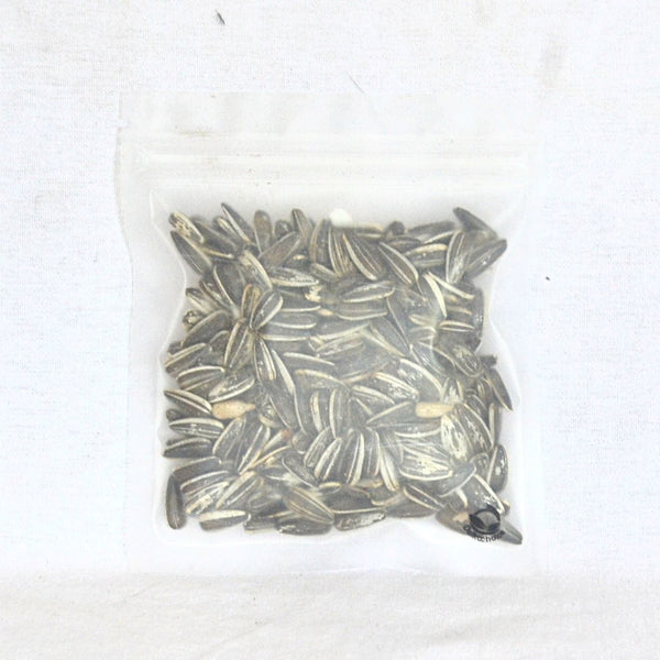 WORMTAIL Snack Hamster Sunflower Seed 30gr Small Animal Snack Pet Republic Indonesia 