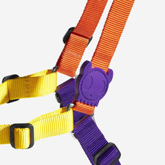 ZEEDOG Soft Walk Harness Pump Pet Collar and Leash Zee Dog 