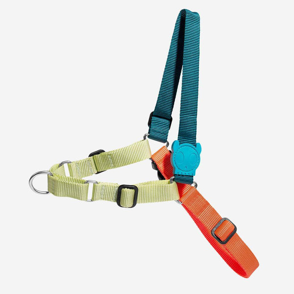 ZEEDOG Softwalk Harness Jumper Pet Collar and Leash Zee Dog Small 